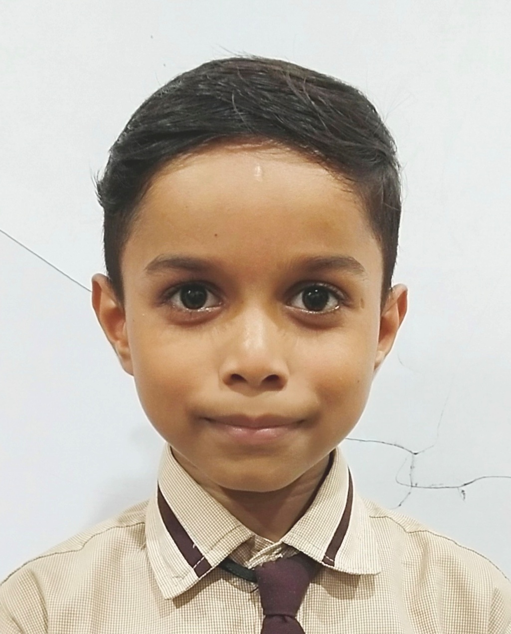 VEER SINGH